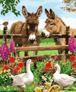 Donkeys in Farm paint by numbers