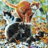 Group of Cats paint by numbers