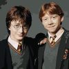 Harry potter And Ron Weasley paint by numbers