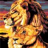 Lion And Son paint by numbers