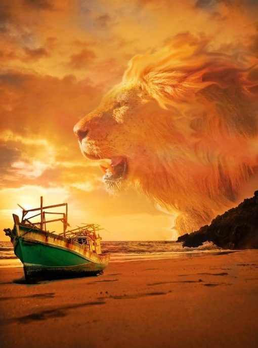 Lion in Beach Sky paint by numbers