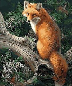 Fox Animals Kits Modern Wall Art Canvas - DIY Paint By Numbers - Numeral Paint
