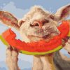 Sheep Eating Watermelon paint by numbers