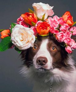 Dog With Colored Flowers Crown paint by numbers