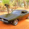 1969 Dodge Charger Matte Black pain by numbers