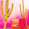Aesthetic Mexican Pink Wall paint by numbers