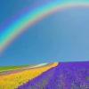 Rainbow In Lavender Field paint by numbers