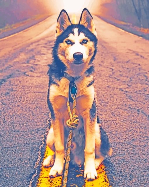 Siberian Husky In Road paint by numbers