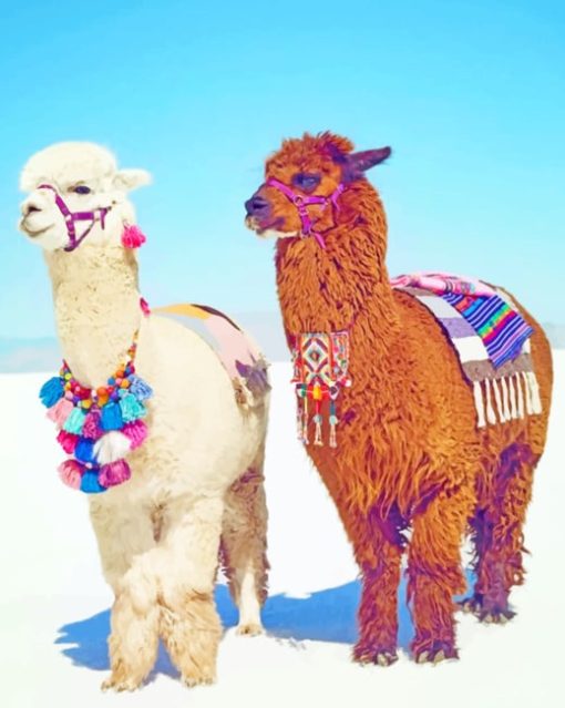 Stylish Alpacas paint by numbers