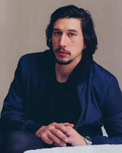 Adam Driver paint by numbers