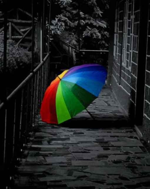 Black And White Colorful Umbrella paint by numbers