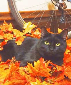 Black Cat In Autumn Paint by numbers