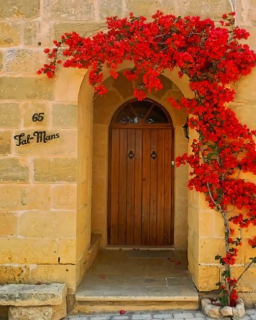 Brown Door With red Flowers