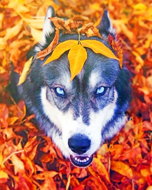 Husky In The Fall paint by numbers