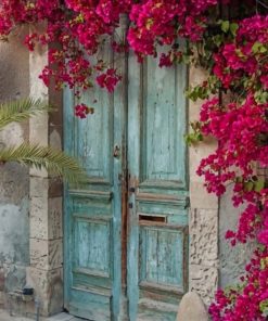 Old Doorways With Flowers paint by numbers