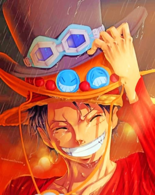 One Piece Luffy paint by numbers