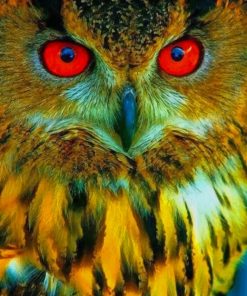 Owl With Red Eyes paint by numbers