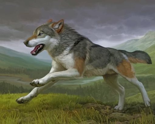 Running Wolf Paint by numbers