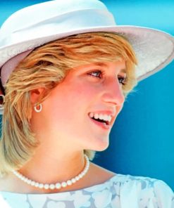 The Beautiful Lady Diana paint by numbers