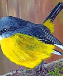 Black And Yellow Bird Paint by numbers