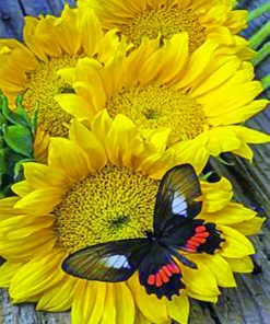 Butterfly And Sunflowers paint by numbers
