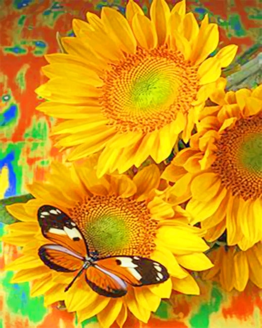 Butterfly On A Sunflower paint by numbers