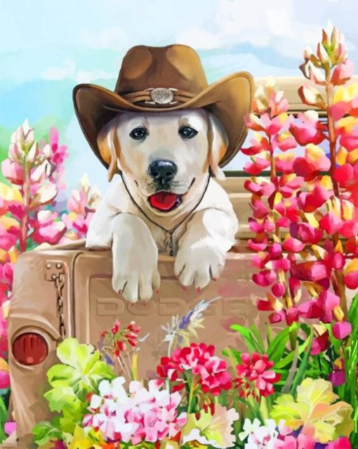 Western Dog Paint by numbers