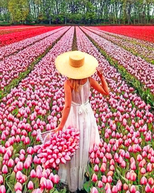Woman In Field Of Pink Flowers paint by numbers
