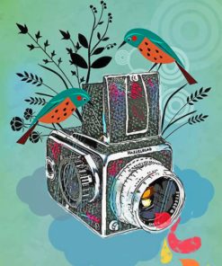 Bird And Camera Illustration paint by numbers