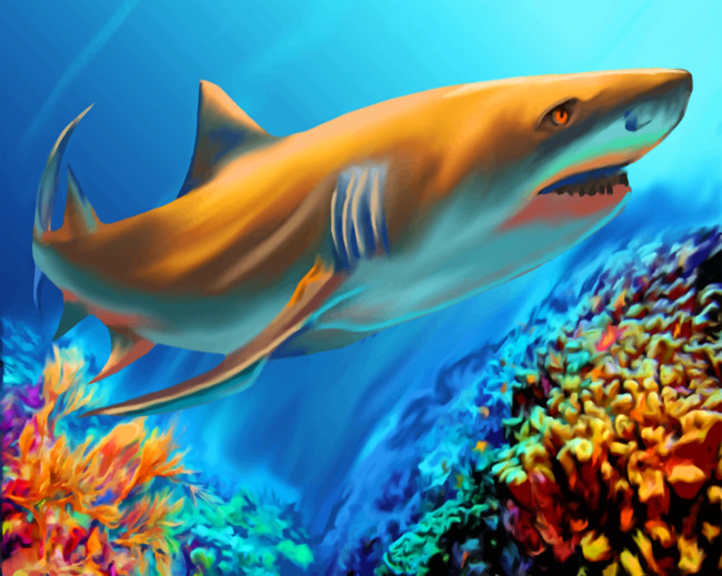 Great White Shark Art paint by numbers