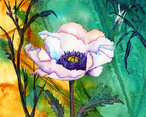 White Poppy Art paint by numbers