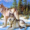 Wolves In Snow paint by numbers