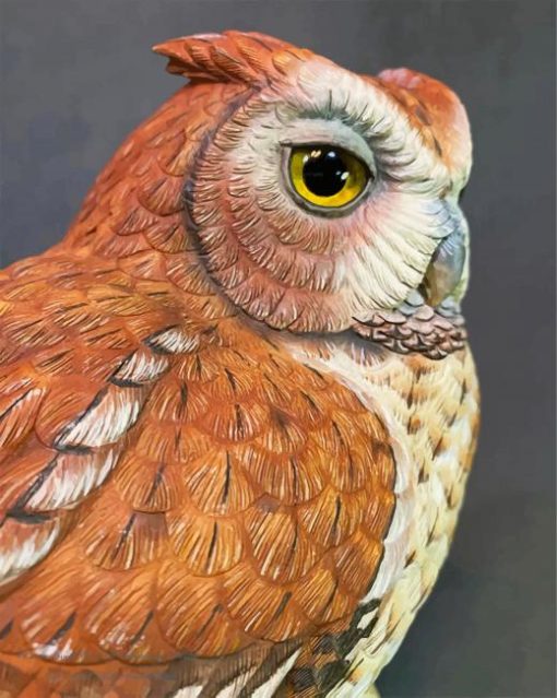 Eastern Screech Owl paint by number