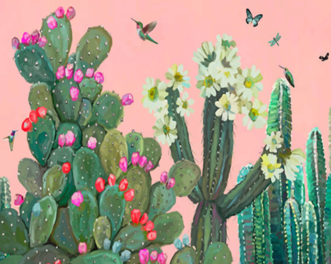 Garden Cactus And Roses Paint by numbers