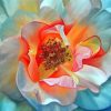 Peony Flower Art paint by numbers