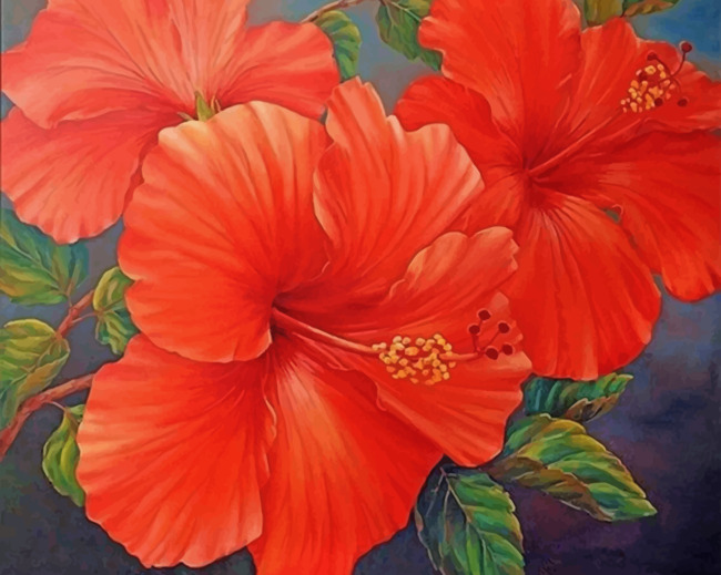 Red Hibiscus paint by numbers