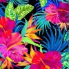 Tropical Flowers And Plants Paint by numbers