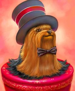 Yorkshire Terrier In Hat Paint by numbers
