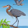 great-blue-heron-birds-paint-by-number