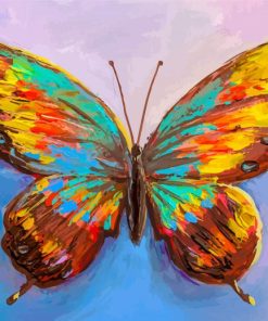 Colorful Butterfly paint by number