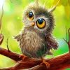 Cute Baby Owl Paint by numbers