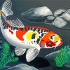 Koi Carp Fish Paint by numbers