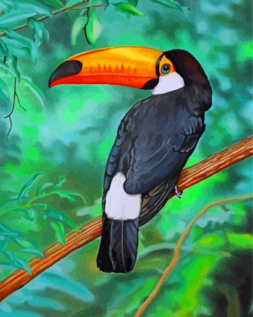 Tropical Toucan Paint by numbers
