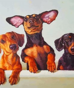 Dachshunds Dogs Paint by numbers