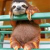 sloth-animal-paint-by-numbers