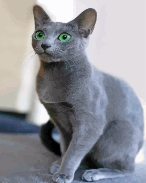 adorable-russian-blue-cat-paint-by-numbers