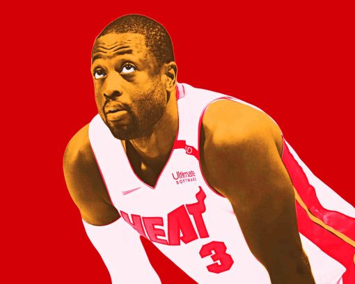 cool dwyane wade paint by numbers