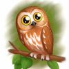 cute-brown-owl-paint-by-numbers