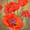 red-poppies-paint-by-numbers