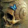 skeleton and blue butterflies-paint-by-numbers